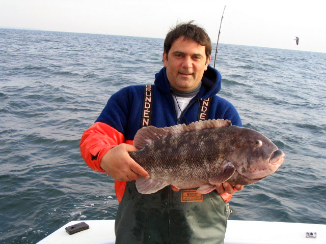 Billy with a 12.8 lb Tautog