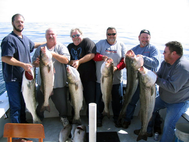 Boatload of Stripers